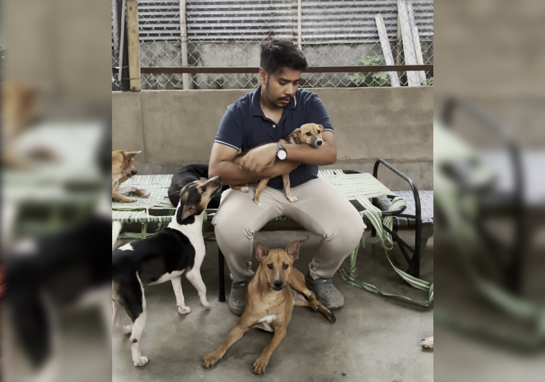 Help Seva Save Their Shelter — A Lifeline For Rescued Animals