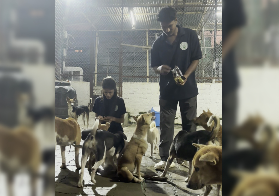 Help Seva Save Their Shelter — A Lifeline For Rescued Animals