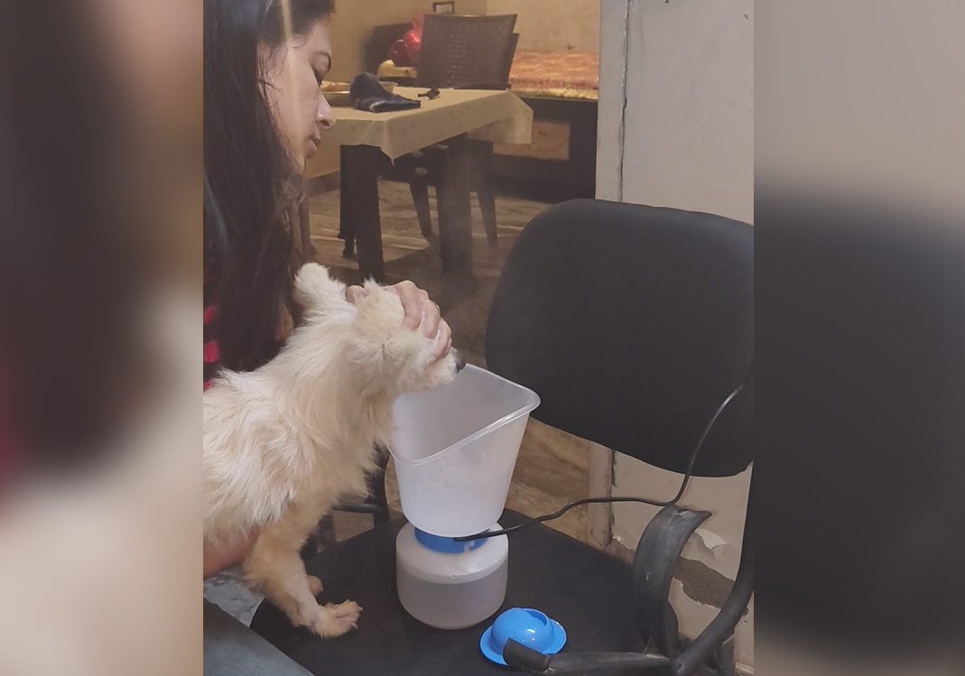 From Streets to Shelter: Give Them a Second Chance
